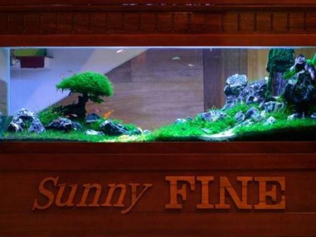 Sunny Fine Guesthouse Hue Exterior photo